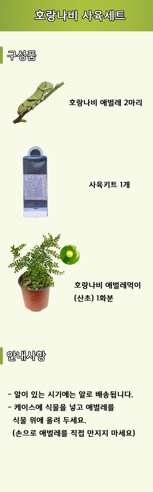 호랑관찰 설명.jpg