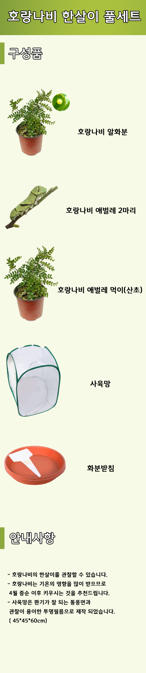호랑나비 한살이세트 설명.jpg