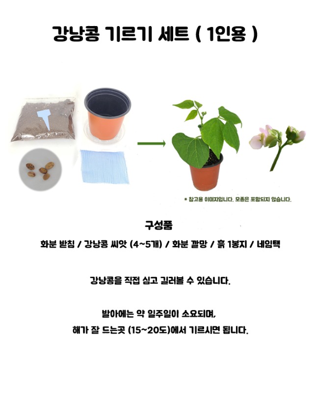 강낭콩 1인용 _ 초안.jpg