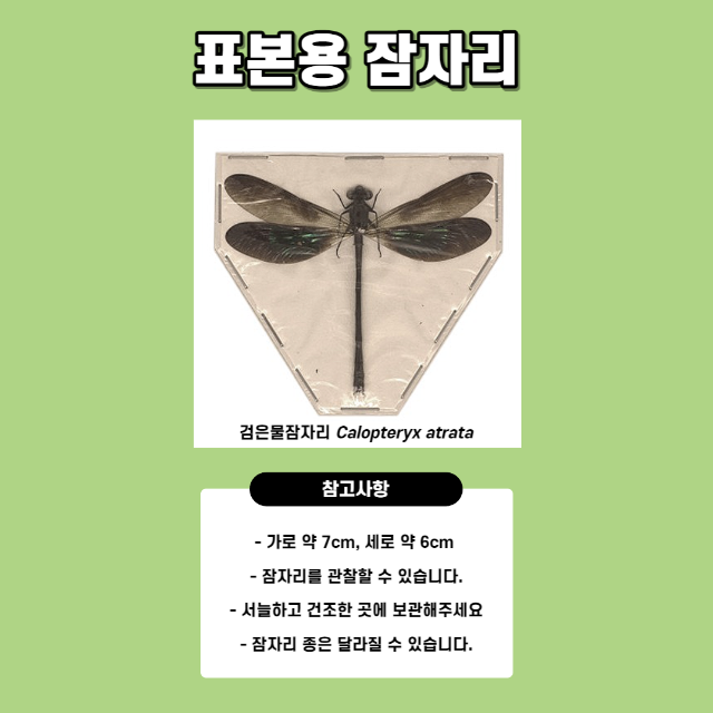 작은지구 _ 복사본-003.png