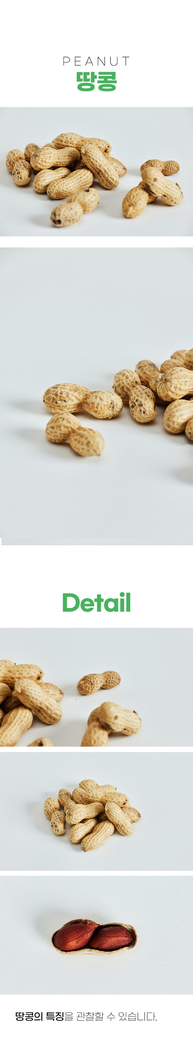 230913_땅콩.jpg