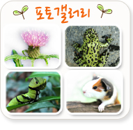 포토갤러리배너