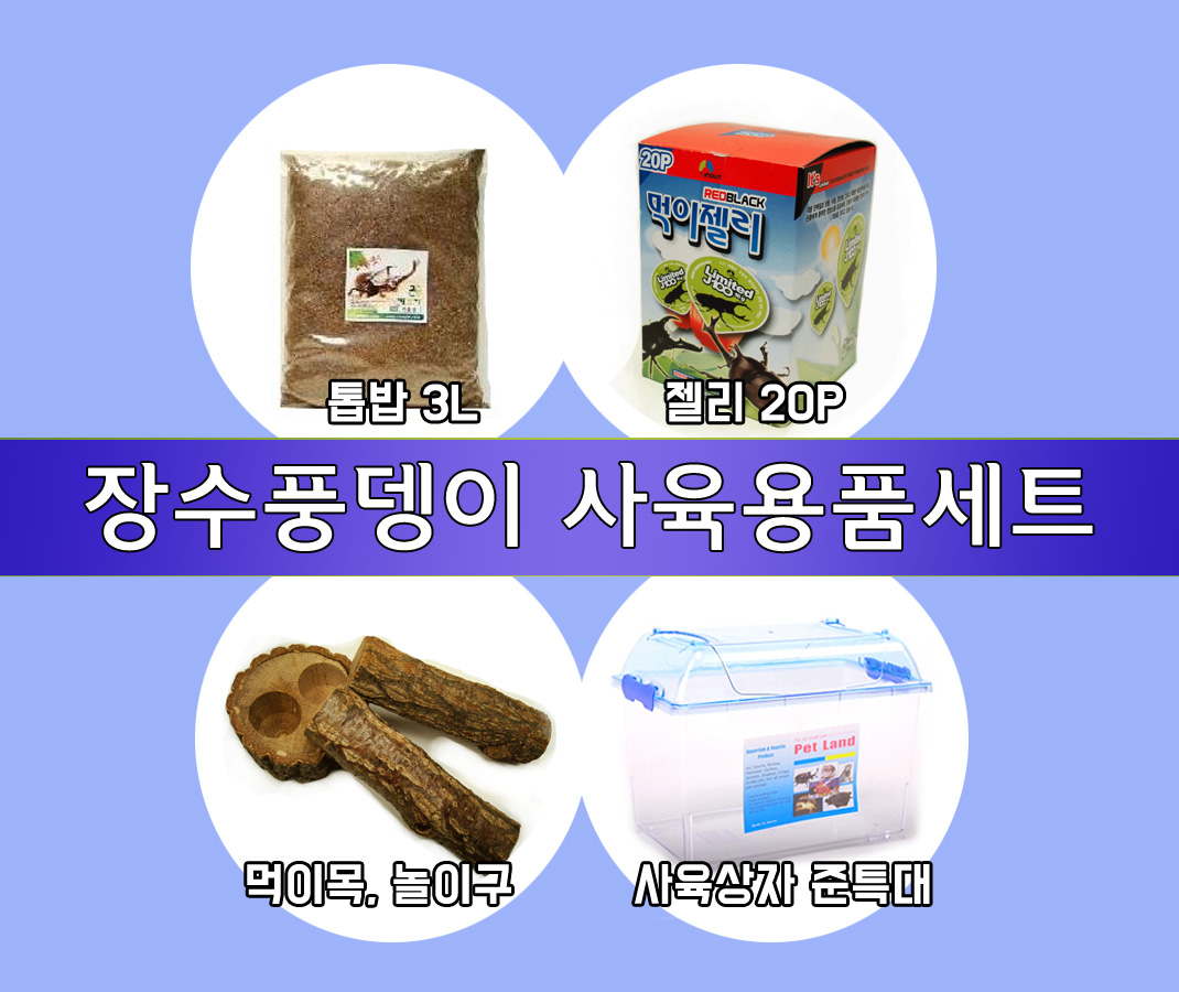 장수풍뎅이사육용품세트