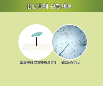 짚신벌레 관찰세트