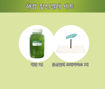해캄 짚신벌레 관찰세트 