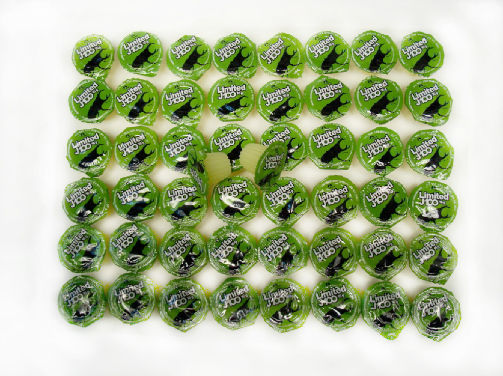 <b>곤충전용젤리 60개